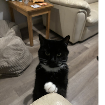 Notice Gallery for Kevin George PARKER