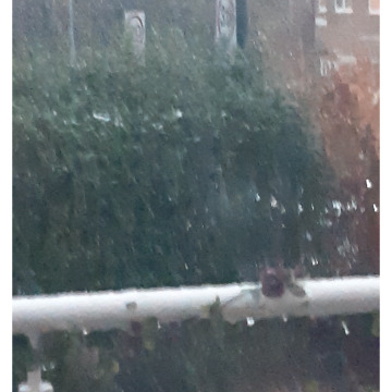 Notice Gallery for Joan PALMER