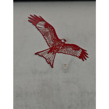 Photo of Kenny NICHOLAS