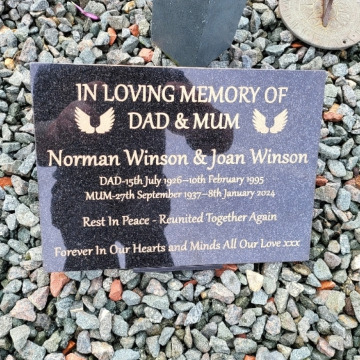 Notice Gallery for Joan WINSON