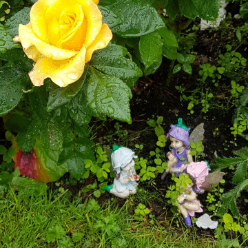 Notice Gallery for Dorothy Anne BOWKER