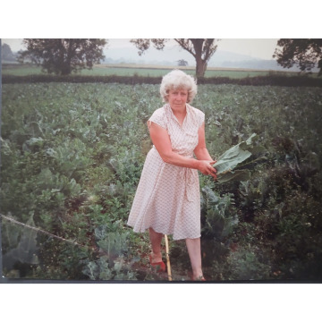 Photo of Doreen Mavis DAVIS