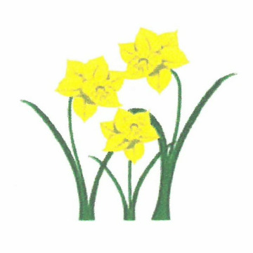 Photo of Graham JOHN