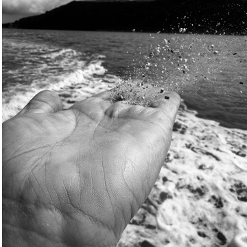 Notice Gallery for David Leslie HUTCHINGS