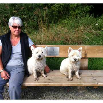 Notice Gallery for Frederick Ernest MEDHURST