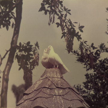 Photo for notice Margaret Joy BIRD