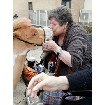 Photo for notice Susan SWINDON