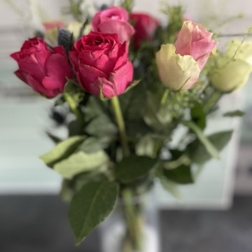 Notice Gallery for Maria HEMP