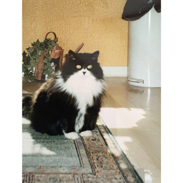 Photo for notice Eileen SPAMER
