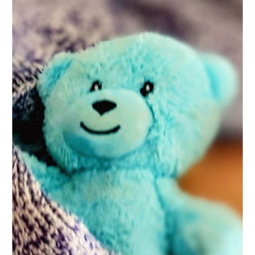 Photo for notice Elizabeth ARMSTRONG