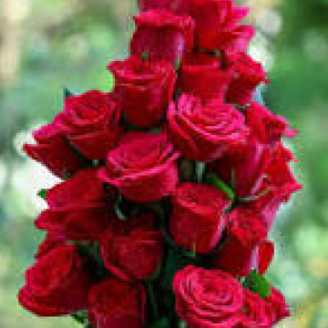 Photo for notice Margaret May WALKER