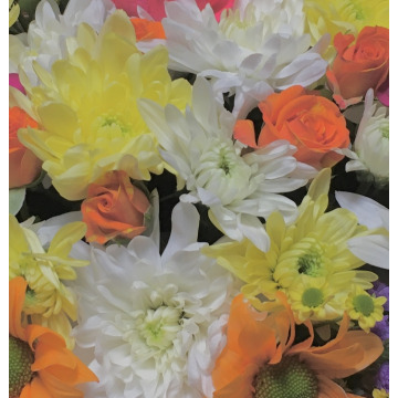 Notice Gallery for Dad GURNEY