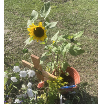 Notice Gallery for John Baptiste Crawford BENJAMIN