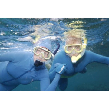 Notice Gallery for Jill Elizabeth GOLIGHTLY