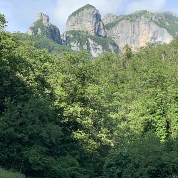 Photo of Lynne LAUGHLAND