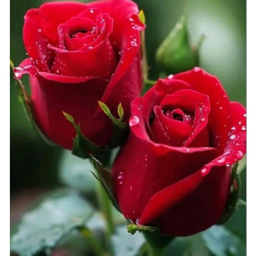 Notice Gallery for Catherine Hefina HUGHES