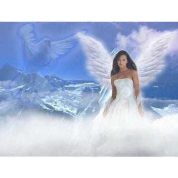 Notice Gallery for Melanie Dawn WELLS