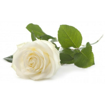 Photo of Maureen RICHARDS