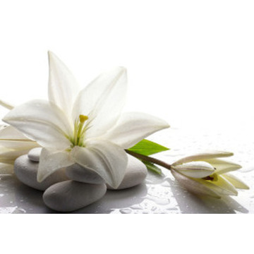 Notice Gallery for Donald Stuart McLEAN