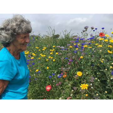 Notice Gallery for Joan GLANVILLE