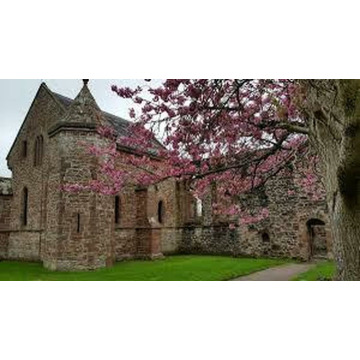 Notice Gallery for Ruth SINCLAIR - (WESTER BALBLAIR)