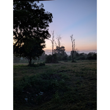 Notice Gallery for Judith Mabel Colling