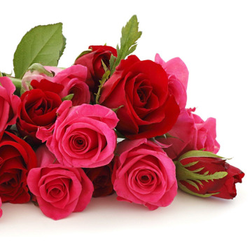 Photo of Ceinwen DAVIES