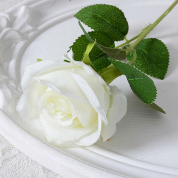 Notice Gallery for Eleanor Frances BREWER