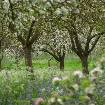 Notice Gallery for Malcolm STRANG