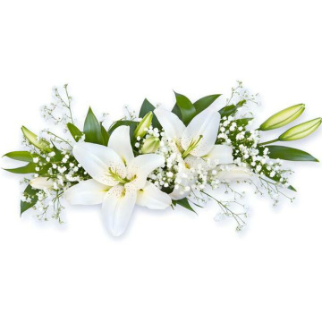 Notice Gallery for Mohinder Singh SOKHI