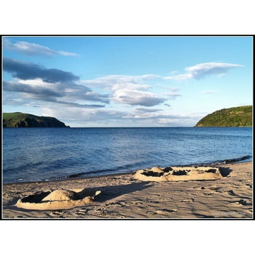 Photo of Alexander MCRAILT - (TAIN)