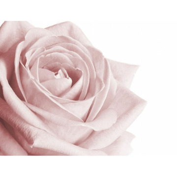 Notice Gallery for Jean Marion OSBORNE