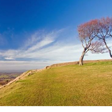 Notice Gallery for Gwyneth Marion HURCOMBE