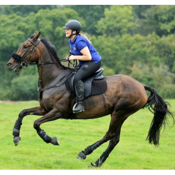 Notice Gallery for Lili HOWELLS