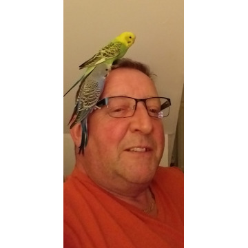 Notice Gallery for Michael HOWARTH