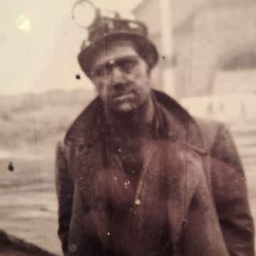 Notice Gallery for Giuseppe TAURO