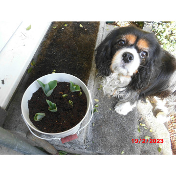 Notice Gallery for Jenifer POOLE