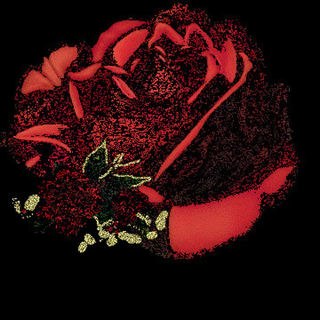 Photo of William STANTON