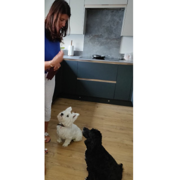 Notice Gallery for Lynda Anne JACKSON