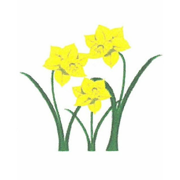 Photo for notice Diana PEACH