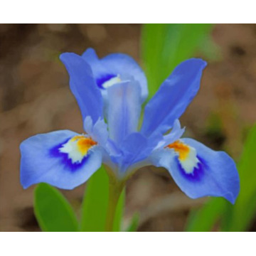 Notice Gallery for Joyce FAIRBAIRN