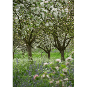 Notice Gallery for Terence William Mervyn GULLIFORD