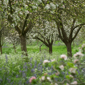 Photo of John BURBIDGE