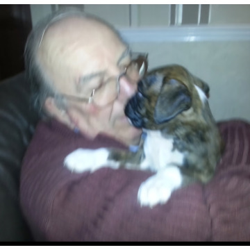 Notice Gallery for Stuart Albert FOSTER