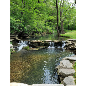 Photo for notice Peter CLARKE