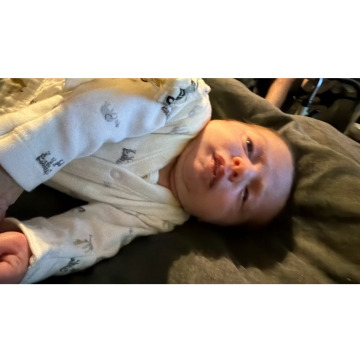 Notice Gallery for Alfie-Joe BURDON