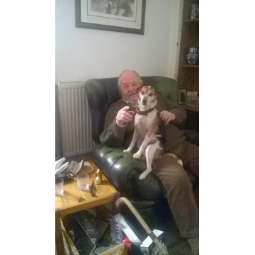 Photo of Robin ROLFE - (CULLICUDDEN)