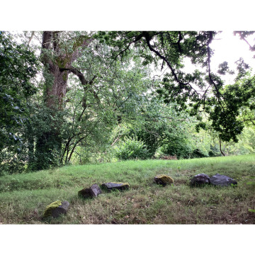 Photo for notice Sheila REED