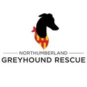 donation charity logo