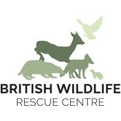 donation charity logo
